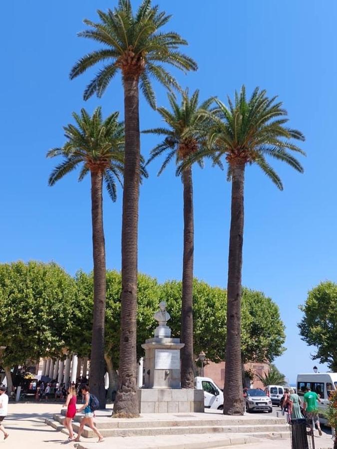 Appartement T4 Tres Bien Situe Et Climatise LʼÎle-Rousse 외부 사진